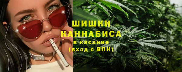 дживик Надым