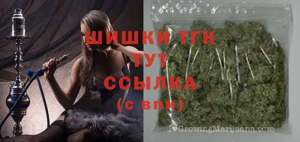 дживик Надым