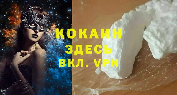 дживик Надым