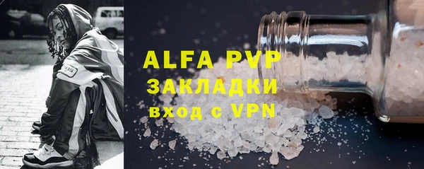прущие грибы Нефтекумск