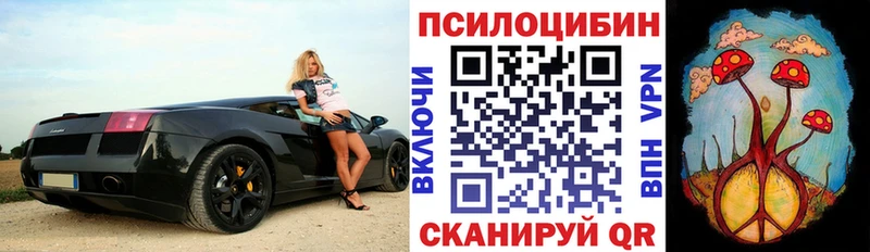 Галлюциногенные грибы прущие грибы где купить наркоту Староминская